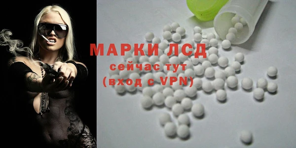 гашик Белокуриха
