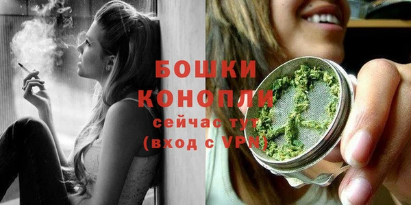 гашик Белокуриха