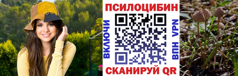 Псилоцибиновые грибы MAGIC MUSHROOMS  Ханты-Мансийск 